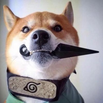 欧美精品刺激A片一区二区三区2