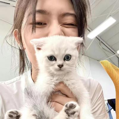 万篇长征-黑料不打烊反差5