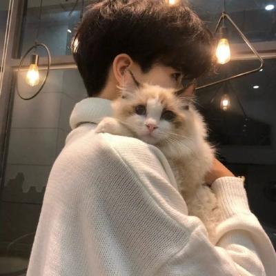 榴莲丝瓜向日葵黄瓜2