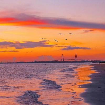 鲍鱼一线天蝴蝶馒头长得什么样4