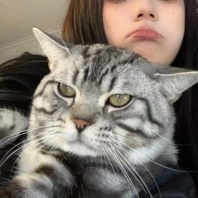 男Ji大巴进入女人的视频3