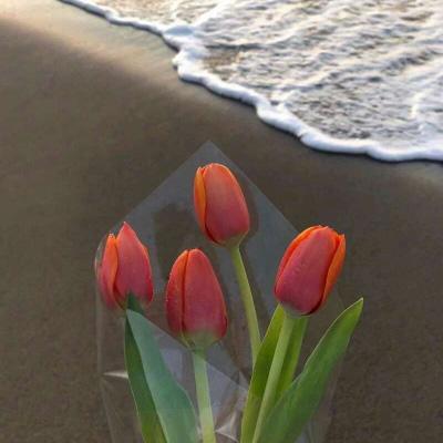 胡桃流口水翻白眼咬铁球图片4