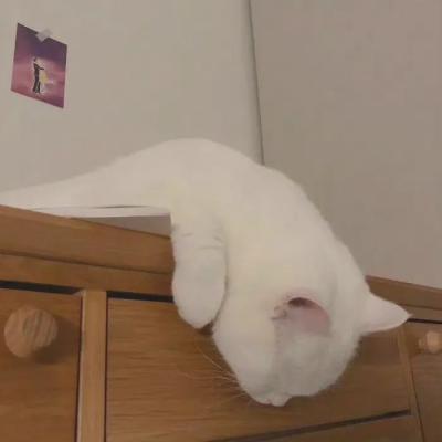 黑料传送门吃瓜1