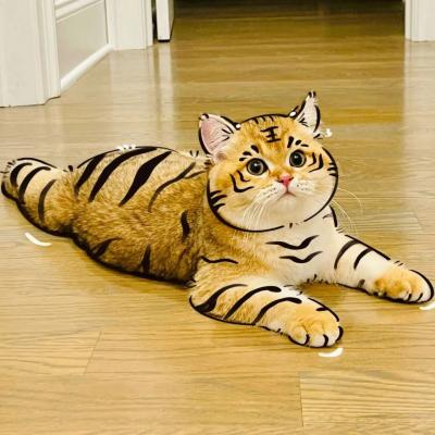 看全色黄大色黄女片18免费2