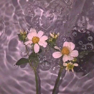 51cg热门大瓜今日吃瓜 往期回顾2