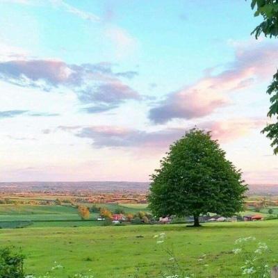 麻豆|国产传媒1区2