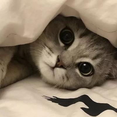 果冻传媒MV免费播放在线观看1