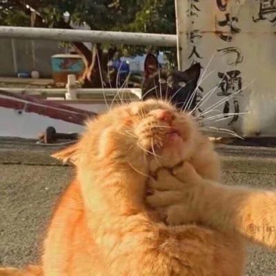 CSGO暴躁少女的玩家群体分析3