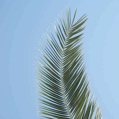 重庆建网站推广