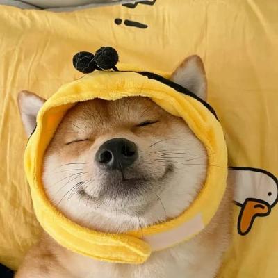 麻豆精产三产区区别蘑菇