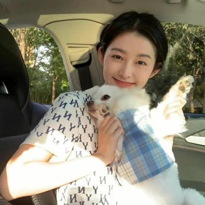 小猪视频在线ios下载