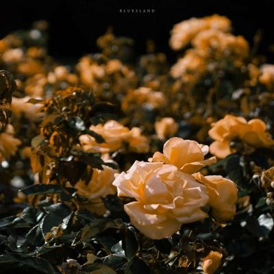 电子商务网站推广论文