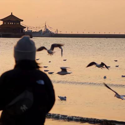 网站推广的价格