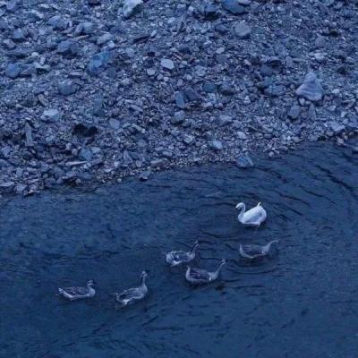 网站推广网站优化