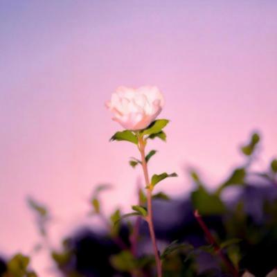 写作业坐在捧捧上面的句子