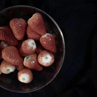 陪读妈妈王梅的母爱温暖孩子心灵