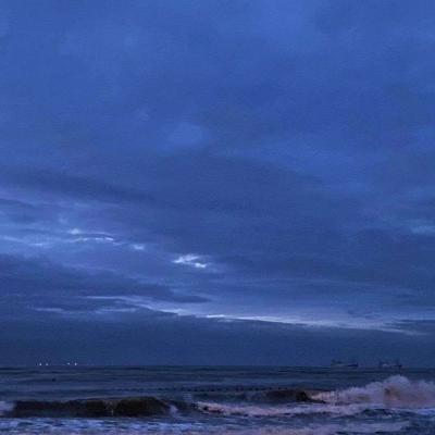 音乐老师的兔子又大又白