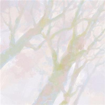 怎么优化推广自己的网站