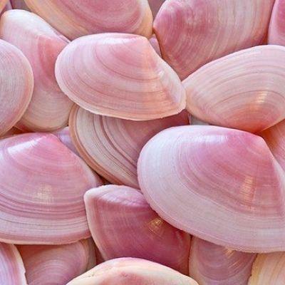 上海企业网站推广方案