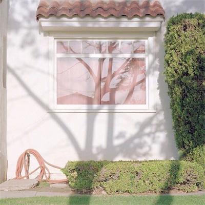 多语言网站 推广