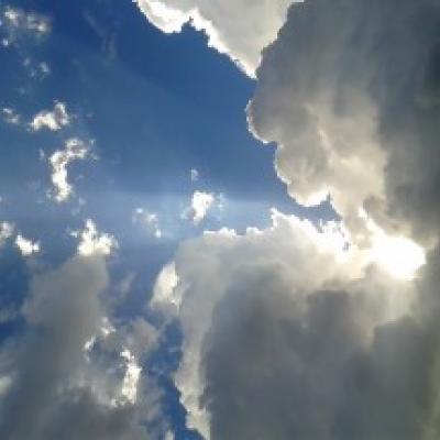 春雨app视频怎么看