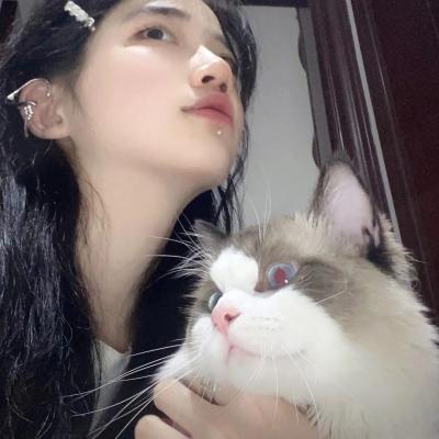 公司高端网站推广公司哪个好