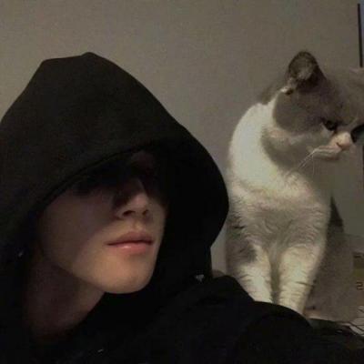 奶奶的贴心小猫怎么下载