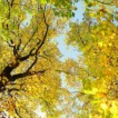 手机网站 百度推广