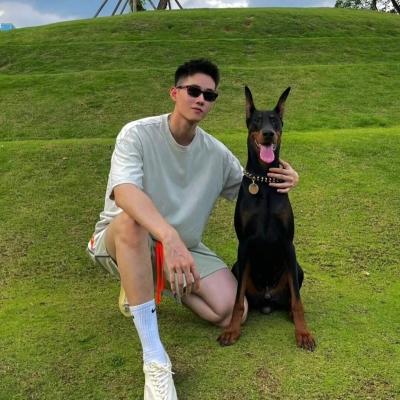 网站免费推广软件