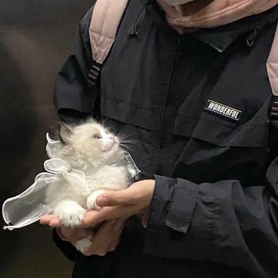 网站推广哪家好