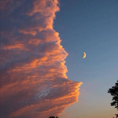 佛山微网站推广