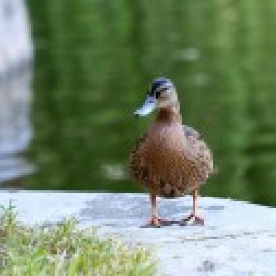 佳木斯网站推广