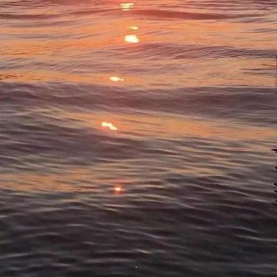 网站免费推广软件