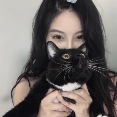 合肥网站推广 公司