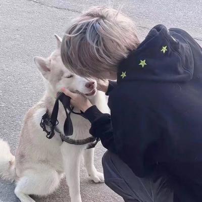 网站推广大熊猫优化