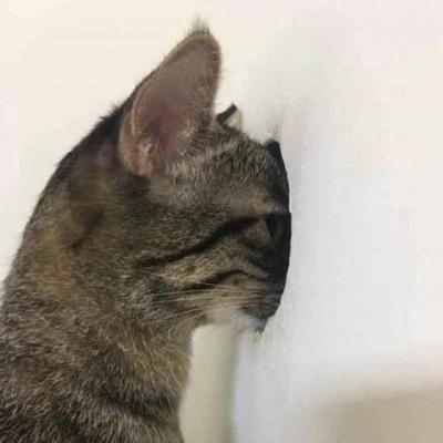 广州网站推广优化公司