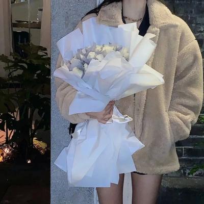 美罗城厕所种子