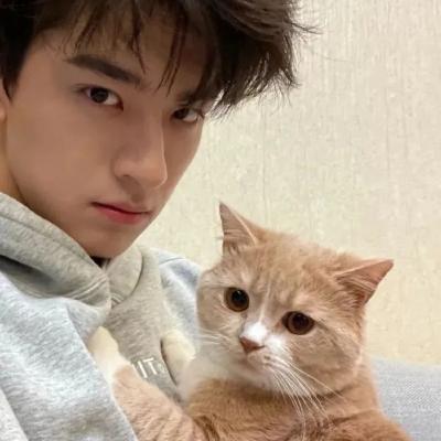 柠檬网络电视tv免费