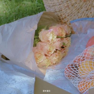 网站软文推广投放