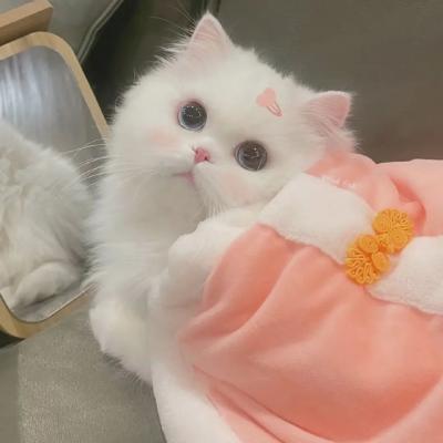 昆明网站推广优化