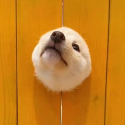 网站推广群发软件