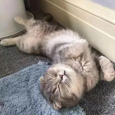 昆明网站推广公司