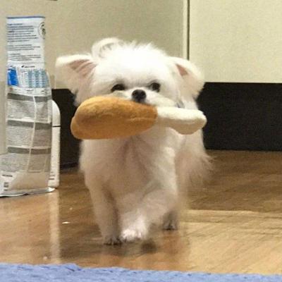 哪个网站做推广好