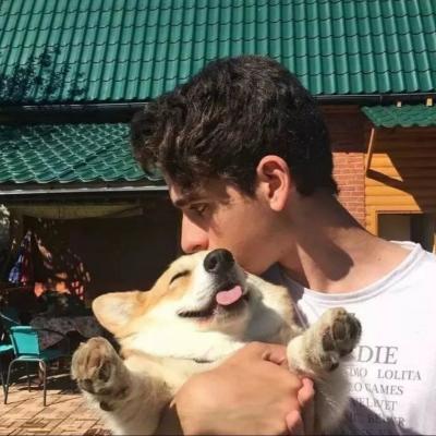 网络推广网站优化