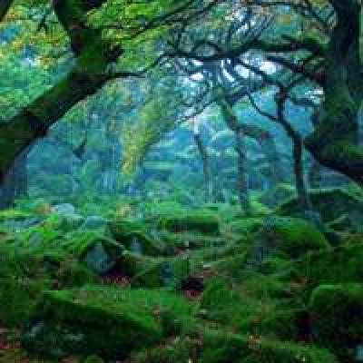 优惠券推广网站