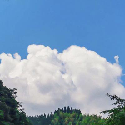 日韩 欧美p片**在线海角丨