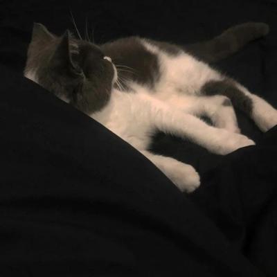 网站推广的优化