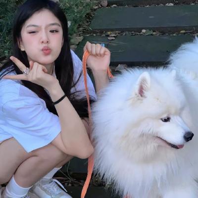 兔子先生爸气十足ep