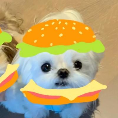 推广优化公司网站